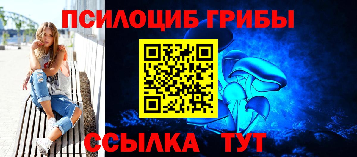 Галлюциногенные грибы Cubensis  Вход с VPN  Владивосток 